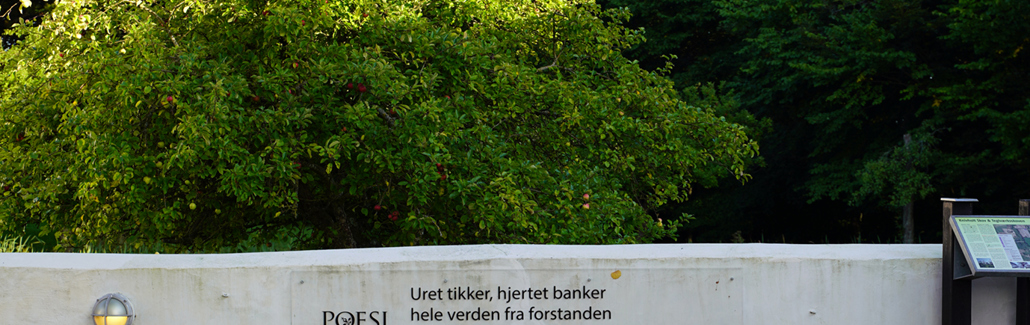 Poesi af værket Hele verden fra forstanden