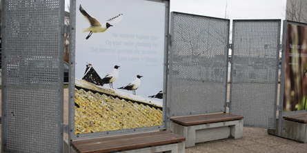 Poesiværk Lyse nætter