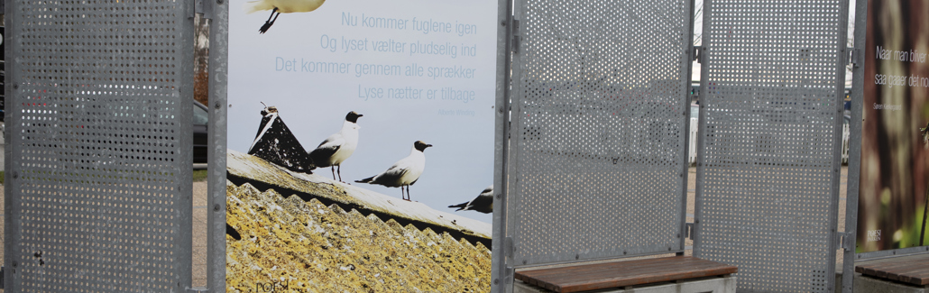 Poesiværk Lyse nætter